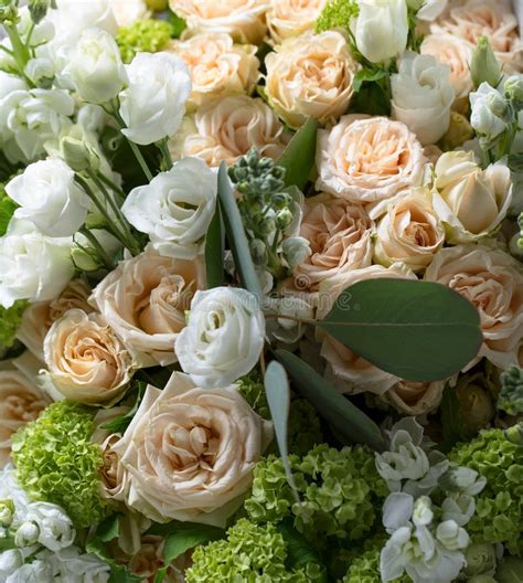 Close Up of Bouquet with White and Beige Roses. Stock Image - Image of ...