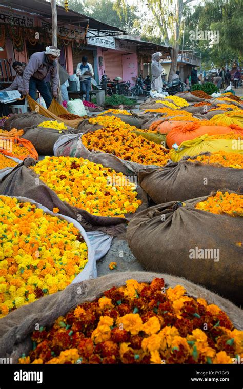 Flower market in Jaipur Stock Photo - Alamy