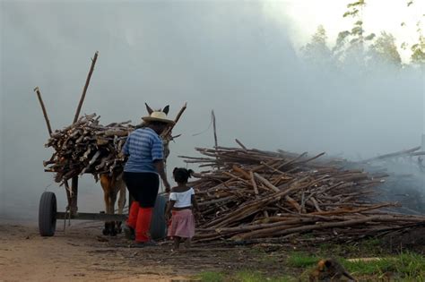 Brasil Tem Mais De 4 Milhões De Crianças E Adolescentes Trabalhando