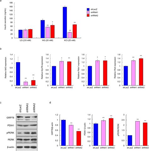 Ildr Knockdown Reduces Glucose Stimulated Insulin Secretion Gsis In