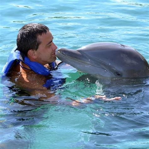 Interact And Swim With Dolphins In Cozumel At Chankanaab National