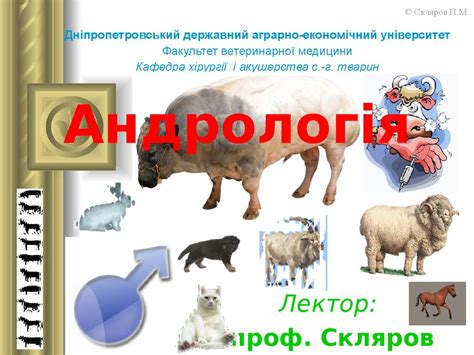 Андрологія. Ветеринарна андрологія - презентация онлайн