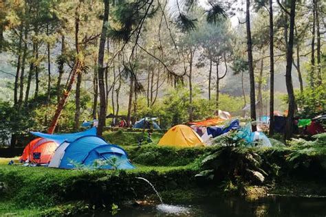 Berita Seputar Rekomendasi Tempat Camping Di Bogor Terbaru Dan Terkini