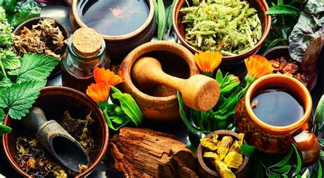 Premium Photo Medicinal Herbs Plants And Roots In Herbal Medicine