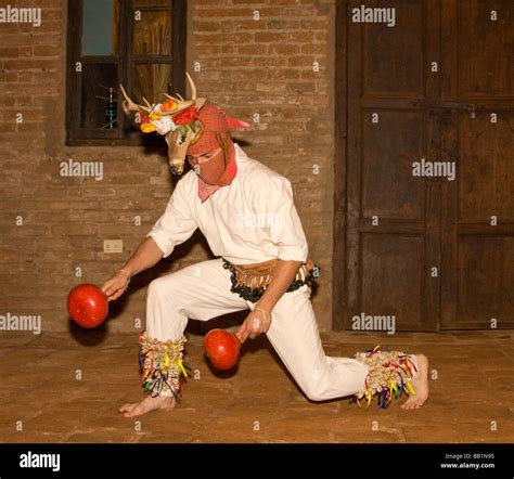 Danza del venado fotografías e imágenes de alta resolución - Alamy