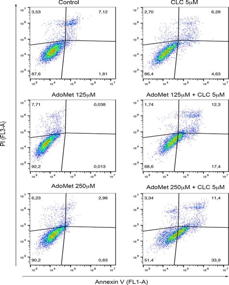 Effects Of AdoMet And CLC Combination On MCF 7 Cells The Apoptotic