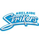 Adelaide Strikers Vs Brisbane Heat 31st T20 Live Score Big Bash