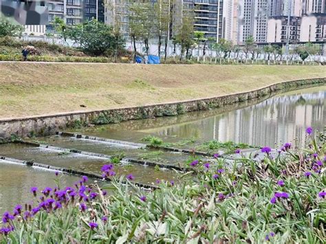 滨水生态廊道、健身广场、滑板公园增城口袋公园上新！空间景观治理