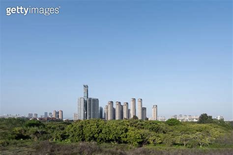 Modern urban high rise buildings with lush greenery 이미지 1652698083