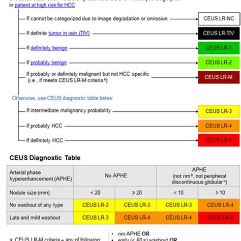 Example Images Showing The Use Of Ceus Li Rads Left B Mode Image