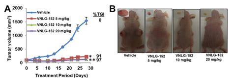 Vnlg R Potently Suppress Tnbc Cdx And Pdx Tumor Growth In Vivo A