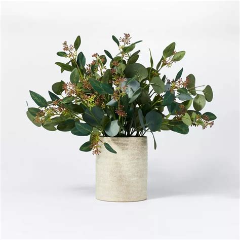 20 X 18 Seeded Eucalyptus And Pod Plant Arrangement In Ceramic Vase