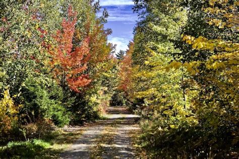 Scenic Drives In Maine That Will Leave You Speechless Territory Supply