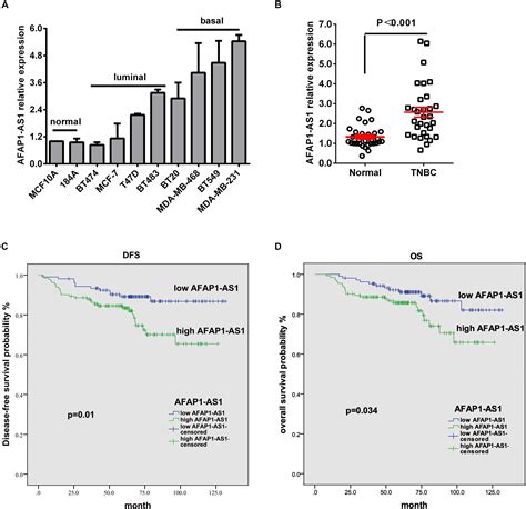 Frontiers AFAP1 AS1 Promotes Epithelial Mesenchymal Transition And