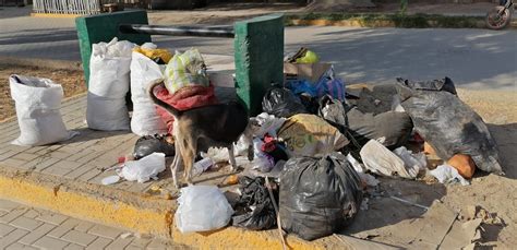 Vecinos indignados por basura acumulada en avenida desde el sábado