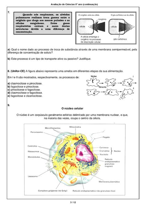 JORNAL R 7ª CIÊNCIAS 8 ANO PROVA AVALIAÇÃO GABARITO EXERCÍCIOS