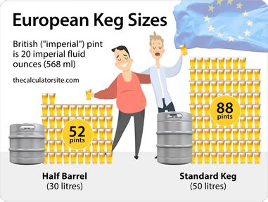 Guide To Beer Keg Sizes And Dimensions, 52% OFF