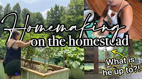 Homemaking On The Homestead Latest Home Update Youtube