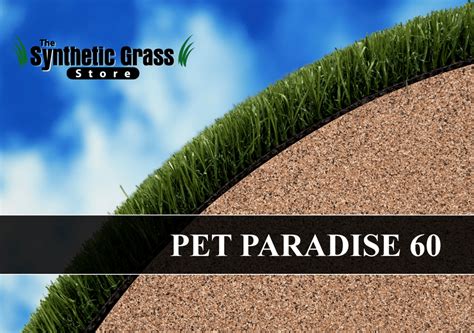 Pet Paradise Synthetic Grass Anaheim California