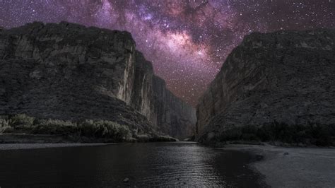 Witness The Stars Of Big Bend Raised By Coyotes