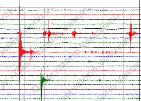 Terremoto Napoli Due Scosse Sul Vesuvio E Ai Campi Flegrei