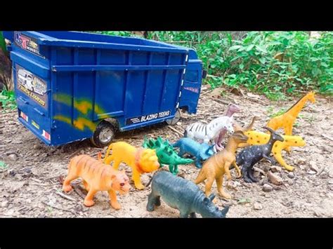 Truk Oleng Hewan Angkut Sapi Badak Singa Harimau Zebra YouTube