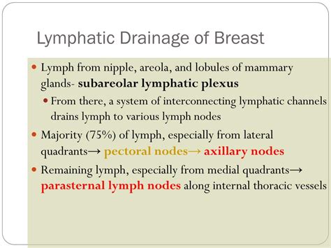 Lymphatic Drainage Of Mammary Gland Ppt Best Drain Photos Primagem Org