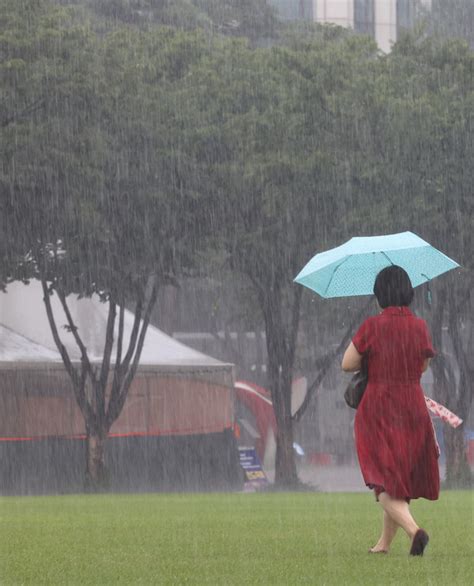 대구 광주 전북 전남 일부 호우주의보 발령내일까지 최고 150mm