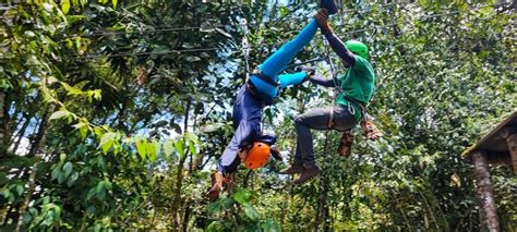 From Quito Mindo Cloud Forest Full Day Trip With Lunch GetYourGuide