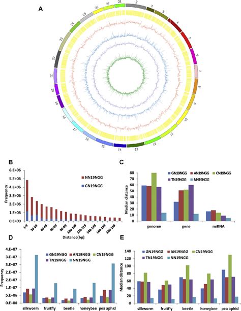 Genome Wide Pattern Of Crispr Targeting Sites A Circos Plot