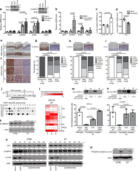 E Viral Oncoprotein Inhibits Constitutive Innate Peptide Expression