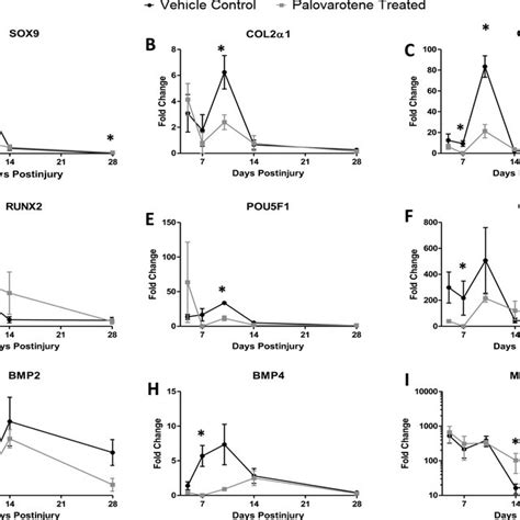 Effects of Palovarotene treatment (n=4) and vehicle control (n=4) on... | Download Scientific ...