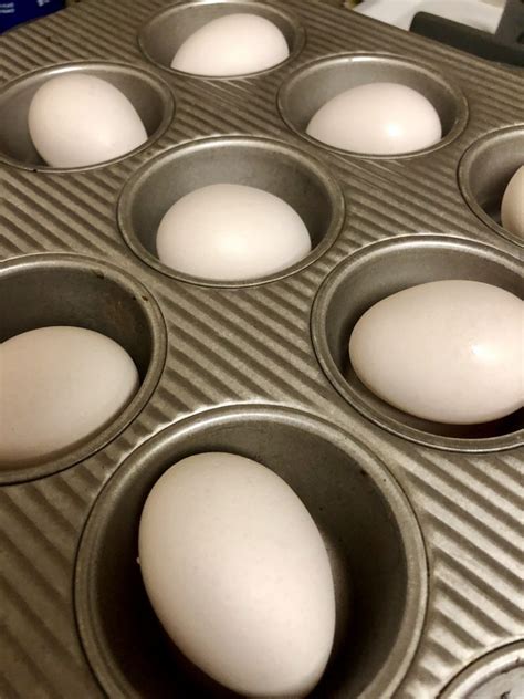 How To Bake Hard Boiled Eggs In The Oven 500 Spatulas