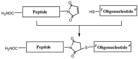 Molecules Free Full Text Oligonucleotide Peptide Conjugates Solid