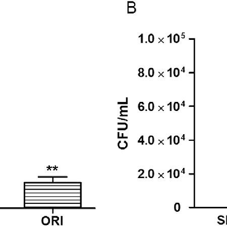 Bacterial Counts In Different Groups The Bacterial Counts Of The Blood