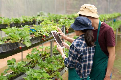 La tecnología como factor fundamental del sector agropecuario en