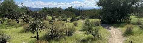 Tortolita Preserve Loop Arizona 595 Reviews Map Alltrails