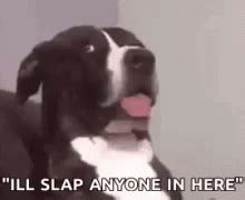 Dog Huh GIF - Dog Huh What - Discover & Share GIFs