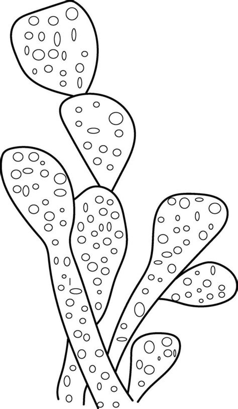 Simple cactus drawing in black and white cute cactus clipart black and ...