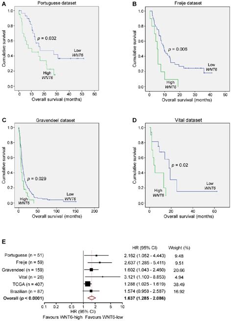 Wnt6 Expression Is Prognostically Valuable In Gbm Patients