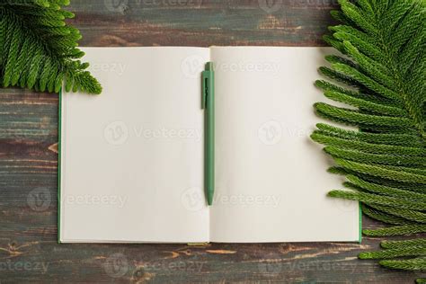 top view open book with green pen and pine leaf on wooden table background 5221902 Stock Photo ...