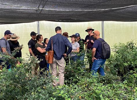 Alunos do Técnico em Fruticultura realizam visita técnica à Embrapa