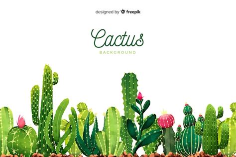 Cactus Background Images Free Vectors Stock Photos Psd