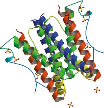 Structure Of Human Interleukin Image From The Rcsb Pdb