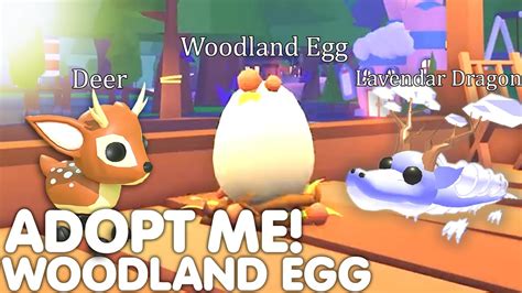 ADOPT ME REVEALED NEW WOODLAND EGG UPDATE HOW TO GET WOODLAND EGG