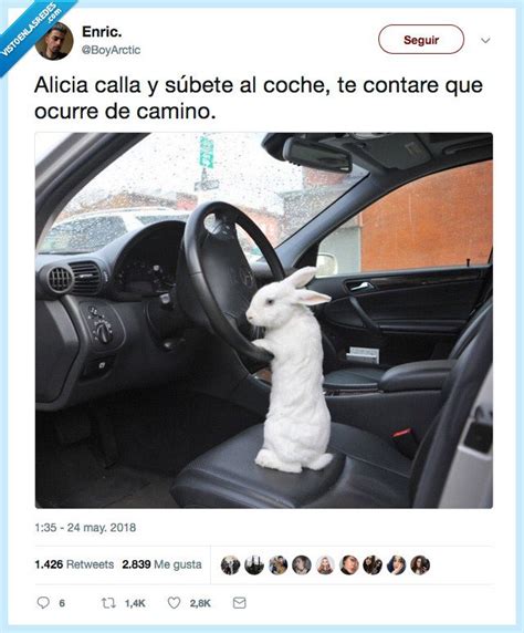 Álbumes 90 Foto Me Dijeron O Te Subes Al Carro O Tendras Que Empujarlo