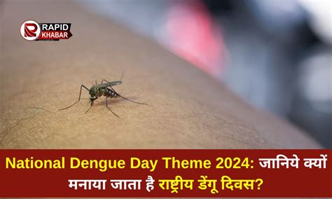 National Dengue Day Theme 2024 जानिये क्यों मनाया जाता है राष्ट्रीय