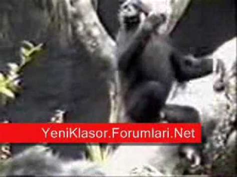 Sexs Etek Altı Lise Kizlar Porno sex YouTube