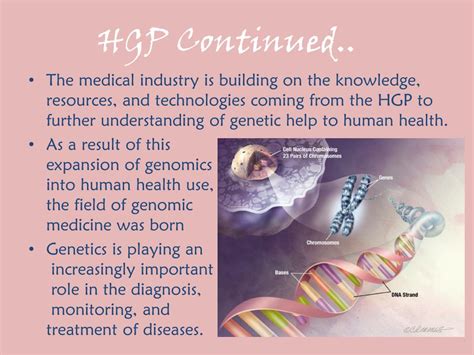 Ppt The Human Genome Project Powerpoint Presentation Free Download Id6686242