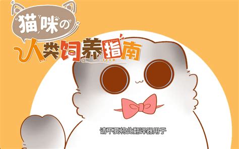 猫咪的人类饲养指南 动态漫第52集 国创 全集 高清正版在线观看 bilibili 哔哩哔哩